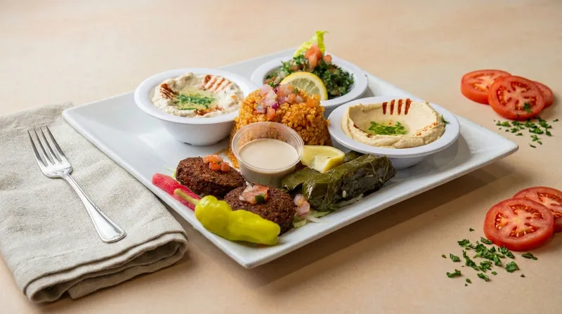 Vegetarian Delight plate with falafel, stuffed grape leaves, hummus, baba ghannouj, tabbouleh, and bulgur pilaf